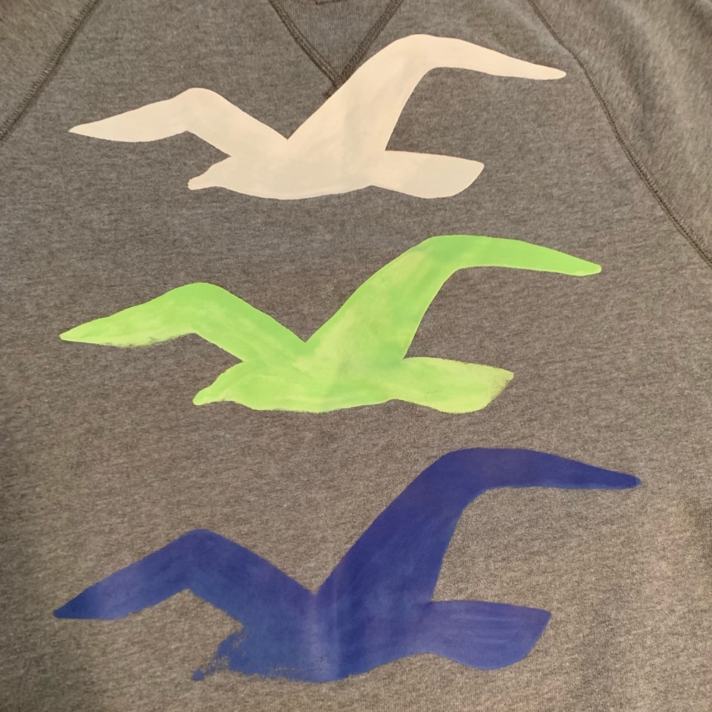 Hollister Sweatshirt